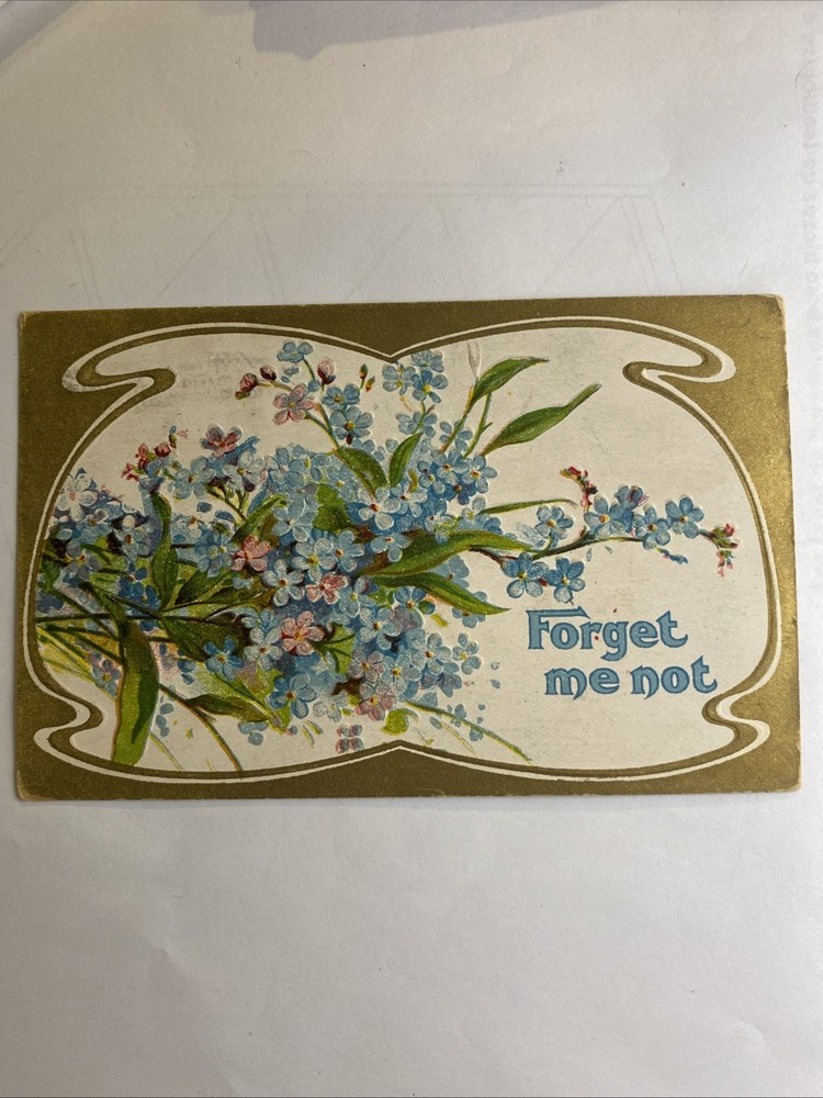 1915 Forget Me Not Post Card Stamped Worlds Panama Pacific Expo San Francisco