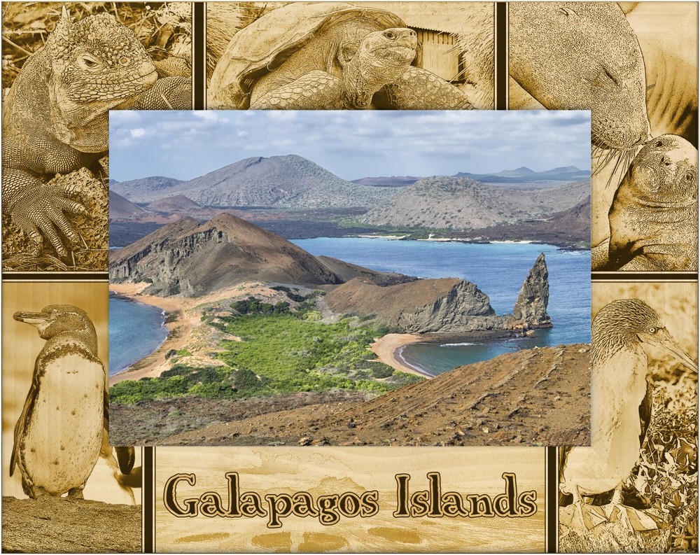 Galapagos Island Laser Engraved Wood Picture Frame Landscape (4 x 6)