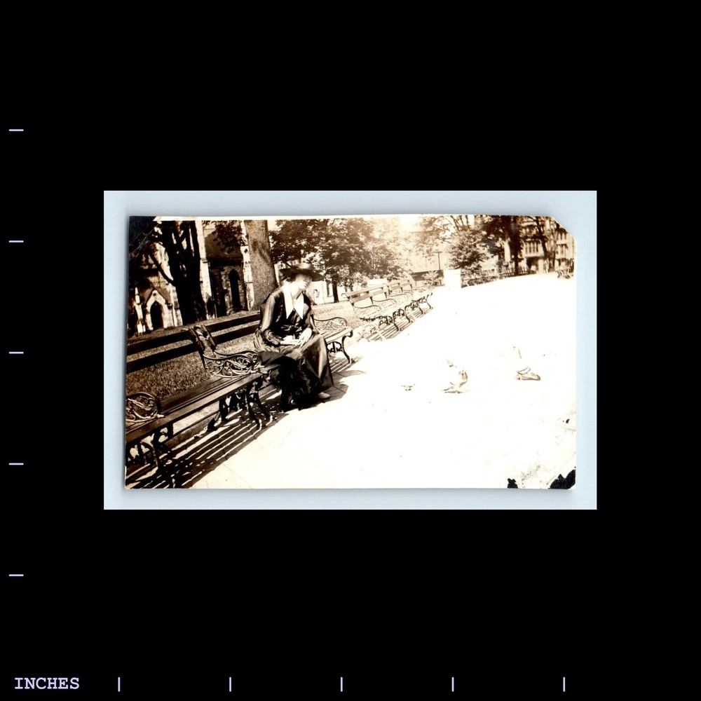 Old Vintage Photo VICTORIAN ERA WOMAN PARK BENCH FEEDING PIGEONS