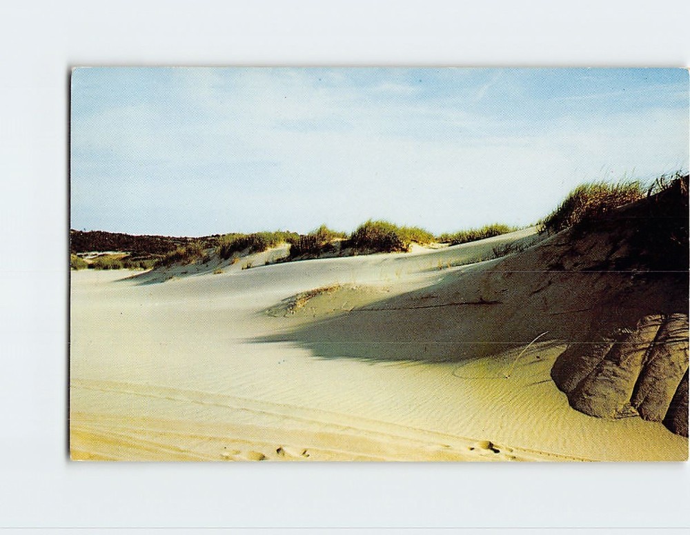 Postcard Shadows of the Dunes Cape Cod Massachusetts USA