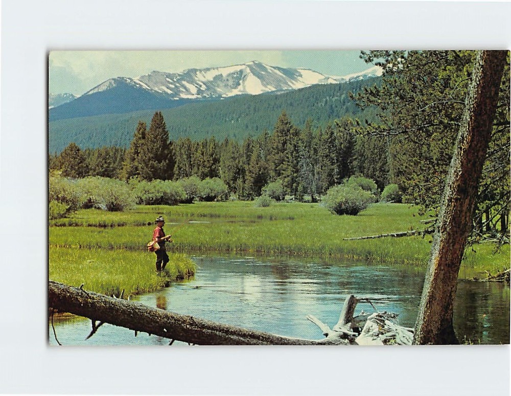 Postcard Miners Creek Montana USA