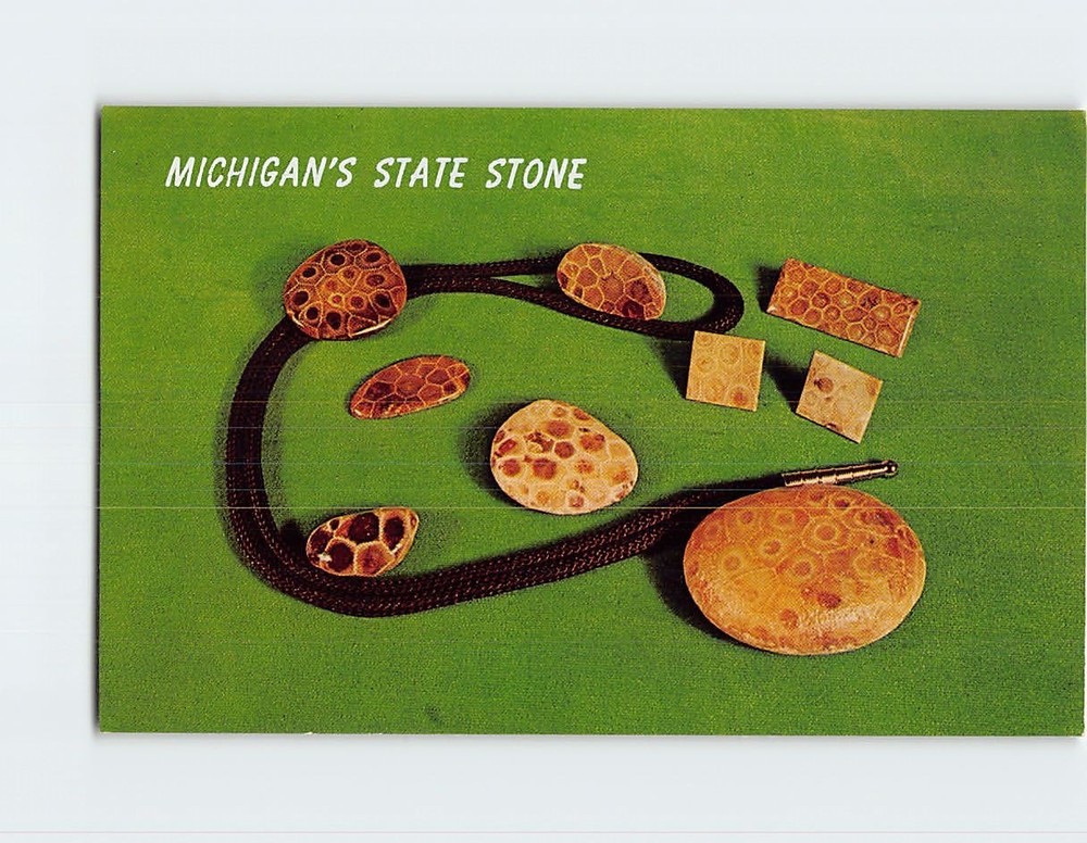 Postcard Petoskey Stones Michigan State Stone Michigan USA