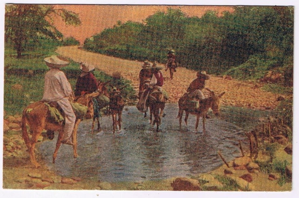Mexico Postcard Tipos Mexicanos Mexican Type