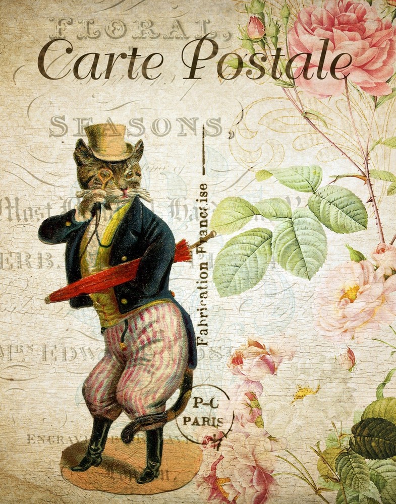 Decoration Poster.Home room art.Interior design.Postal Card.Elegant Cat.7295