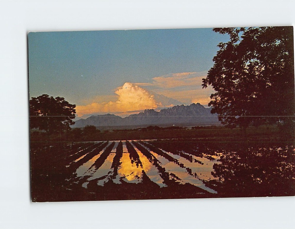 Postcard Sunset Over Organ Mountains Las Cruces NM USA