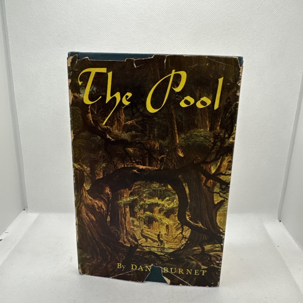 Vintage The Pool by Dana Burnet (1945 Alfred A. Knopf, 1st ed.)