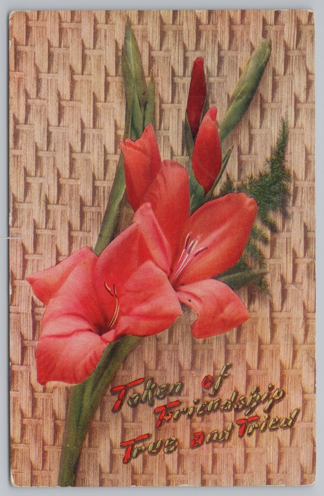 Greetings~Token of Friendship~Red Flowers~Vintage Postcard