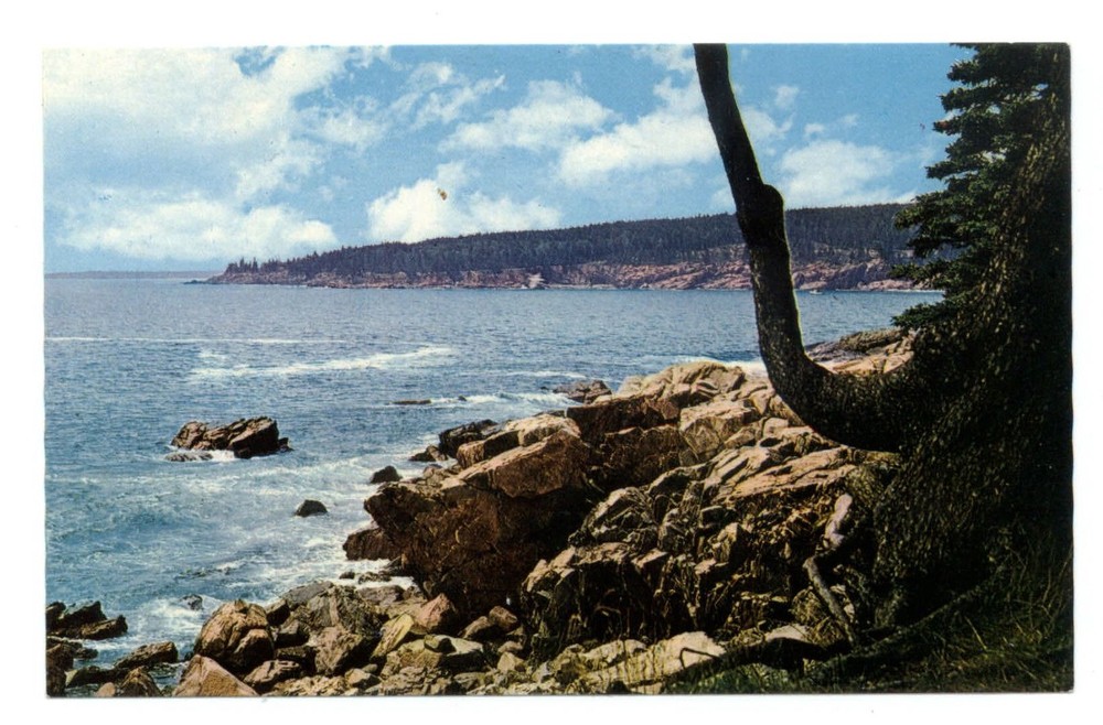 Acadia National Park Maine Otter Cliffs rocky coastline waves vintage postcard-image
