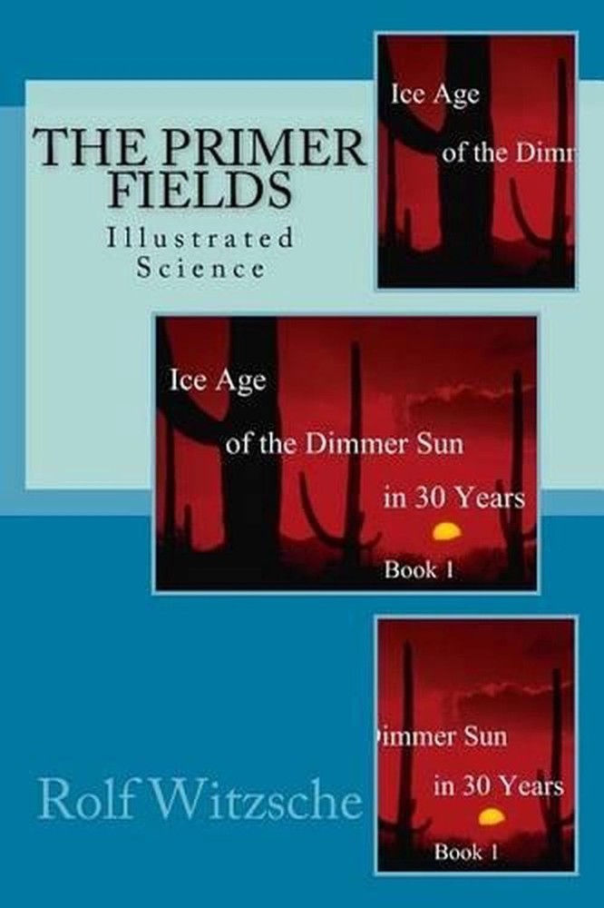 The Primer Fields: Illustrated Science by Rolf A.F. Witzsche (English) Paperback