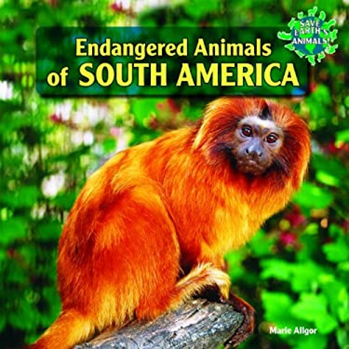Endangered Animals of South America by Marie Allgor Hardbound Edition
