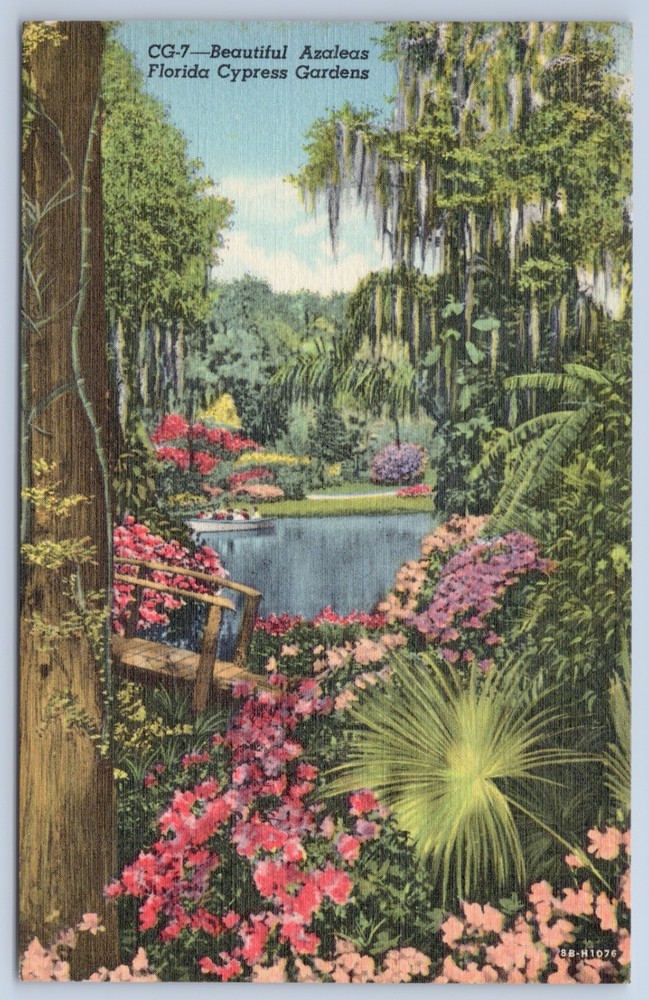 Florida Winter Haven Cypress Gardens Beautiful Azaleas Legoland Linen Postcard