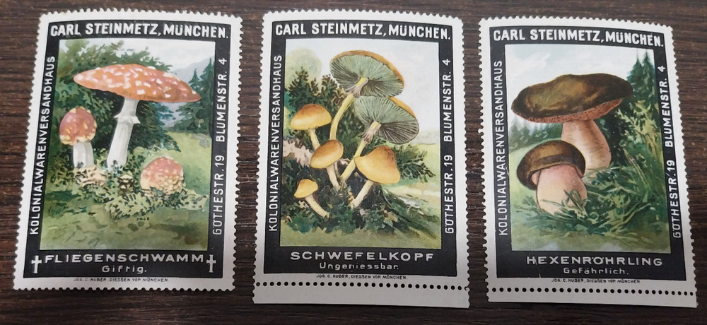 Germany Dt. Reich 3 Poster stamps Vignette Cinderella Munich mushrooms flora R!