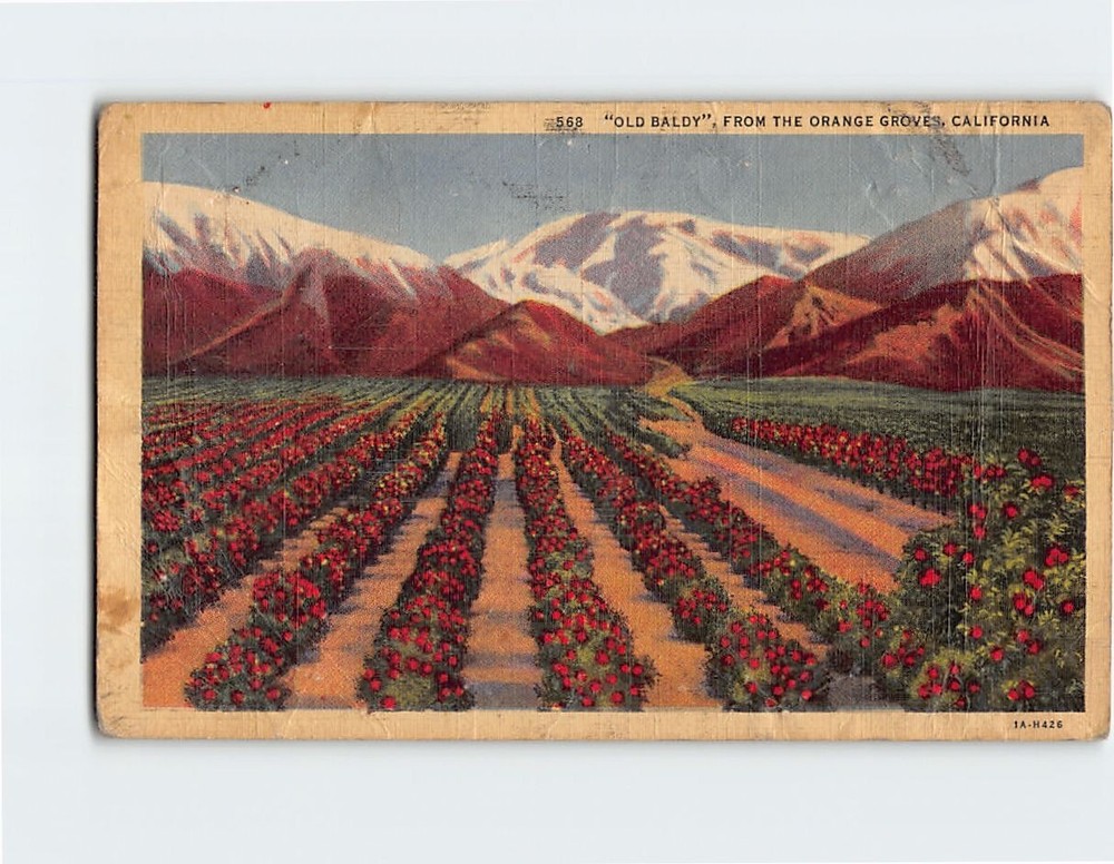 Postcard 