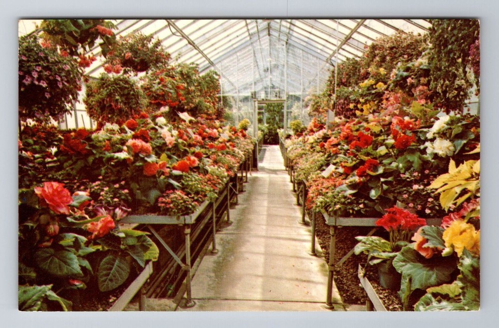Mansfield OH-Ohio, Kingwood Center, Antique, Vintage Souvenir Postcard