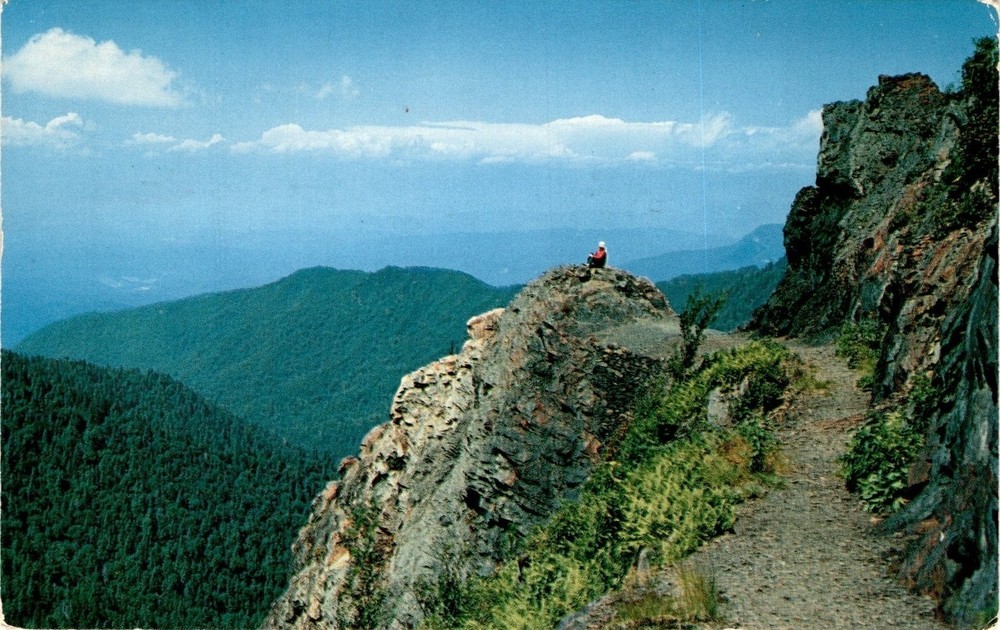 CHARLIE'S BUNION, Great Smoky Mountains National Park, Applachian Postcard
