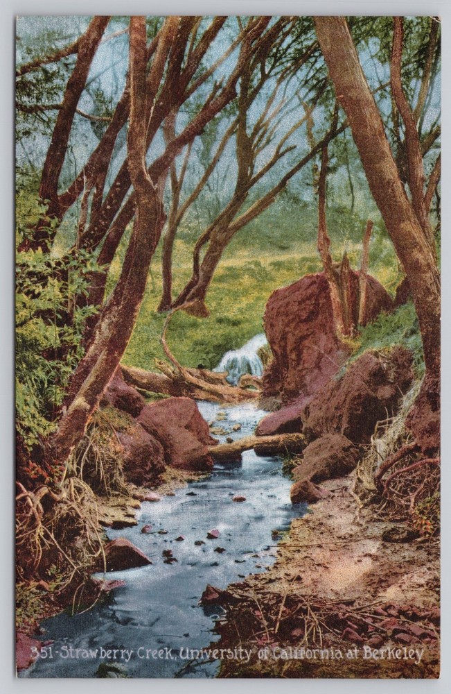 Berkeley CA, Strawberry Creek, University of California, Vintage Postcard