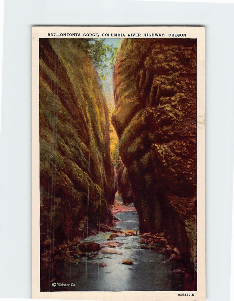 Postcard Oneonta Gorge Columbia River Highway Oregon USA