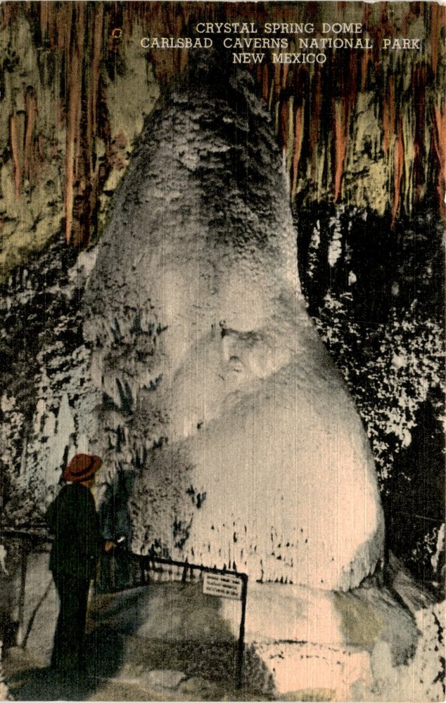 CRYSTAL SPRING DOME, CARLSBAD CAVERNS NATIONAL PARK, NEW MEX Postcard