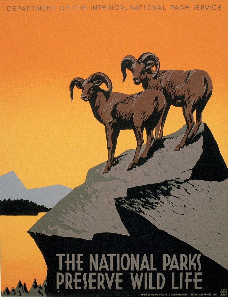 Decor Poster. Fine Graphic Art Design. THe National parks. Shop Wall Art. 1684