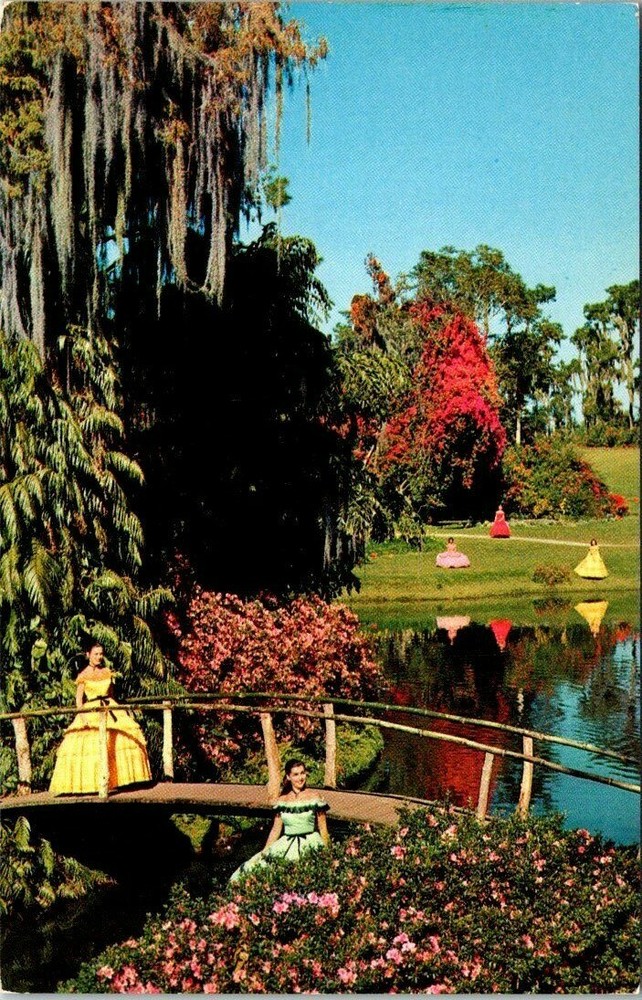 Lovely Ladies Among Trees Flowers The Cypress Gardens Florida Vintage Postcard