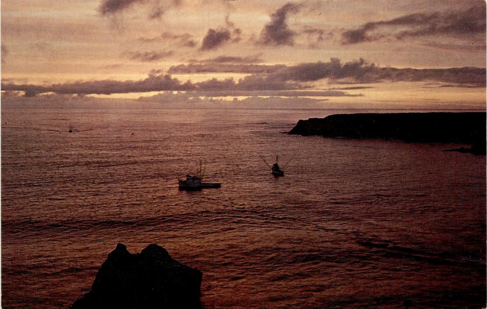 NOYO HARBOR, FORT BRAGG, CALIFORNIA, SUNSET, Postcard