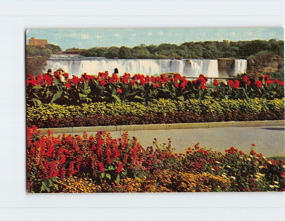 Postcard American Falls from Queen Victoria Park Niagara Falls New York USA