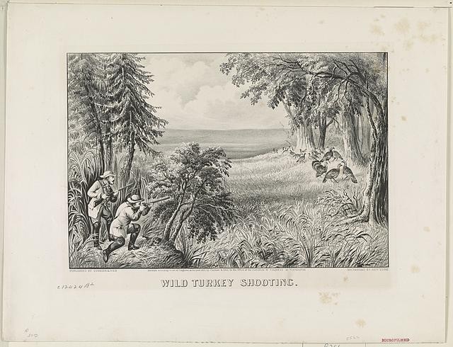 Wild turkey shooting,hunters,rifles,birds,wooded area,c1871,Currier & Ives