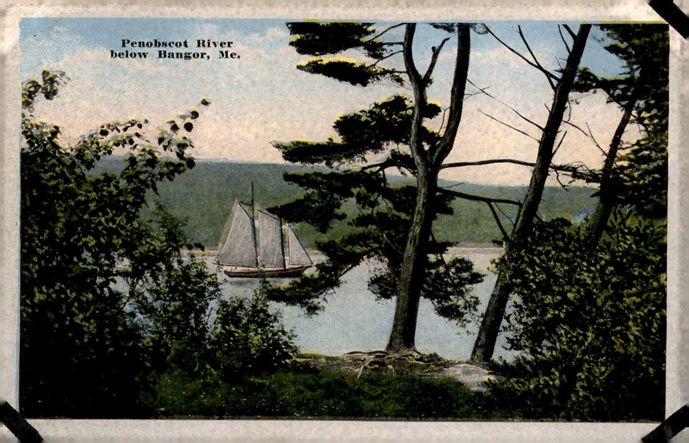 Penobscot River below Bangor, Me. - 13524 Postcard