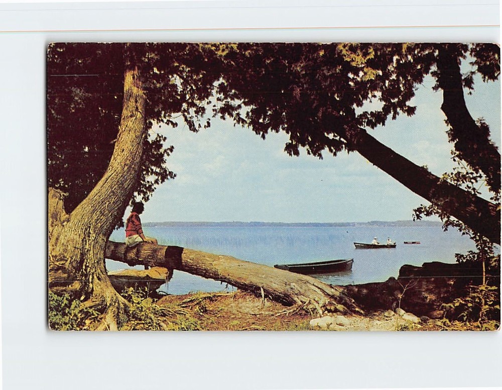Postcard Summer At The Lake, Vacationland Scene