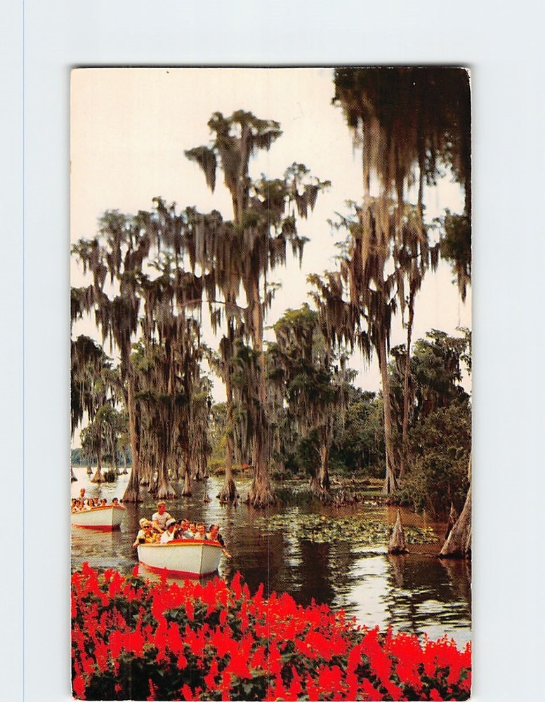 Postcard Sightseeing Boats Cypress Gardens Florida USA