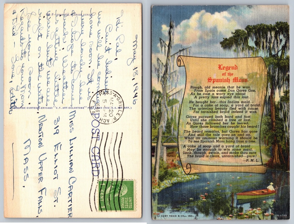 Legend Of The Spanish Moss Swamp Scene Postcard