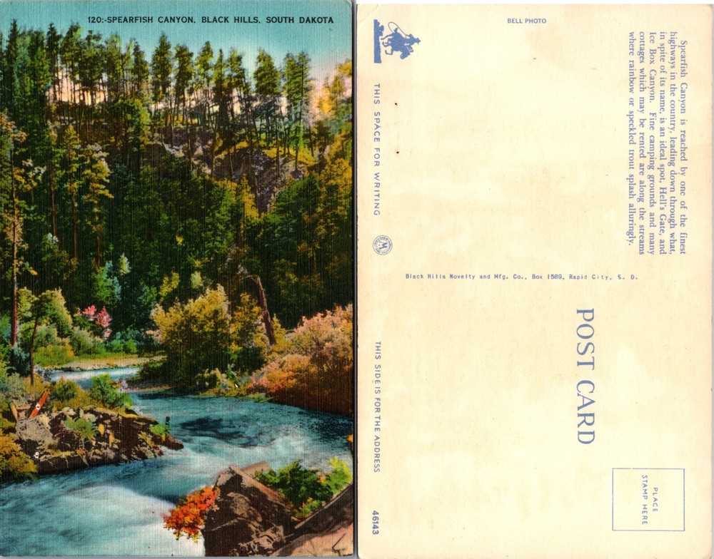 Spearfish Canyon Scenic River View Black Hills South Dakota SD Postcard