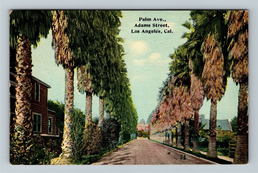 Los Angeles CA-California, Tropical Palm Avenue & Adams Street Vintage Postcard