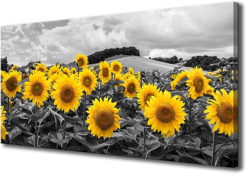 KLVOS Large Sunflower Art Wall Decor Black and White Floral Canvas Wall Art G...