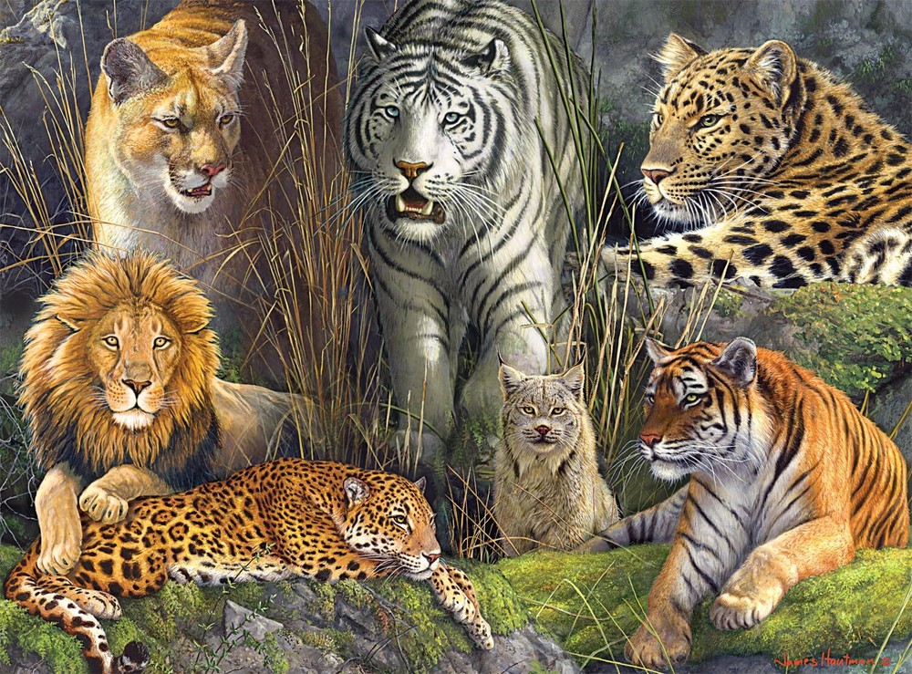 - James Hautman - Big Cat Collage - 1000 Piece Jigsaw Puzzle for Adults Chall...