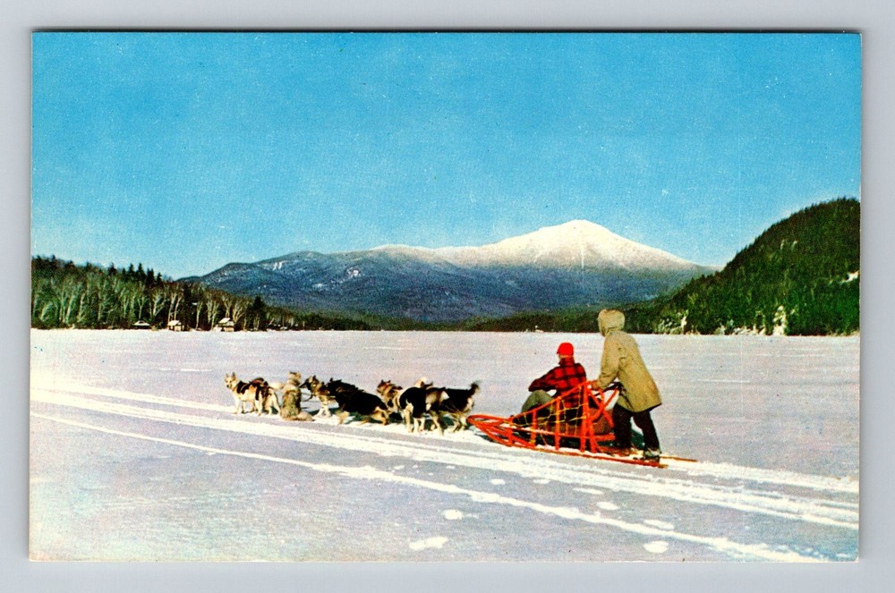 Lake Placid, NY-New York Dog Team and Whiteface Mountain Winter Vintage Postcard