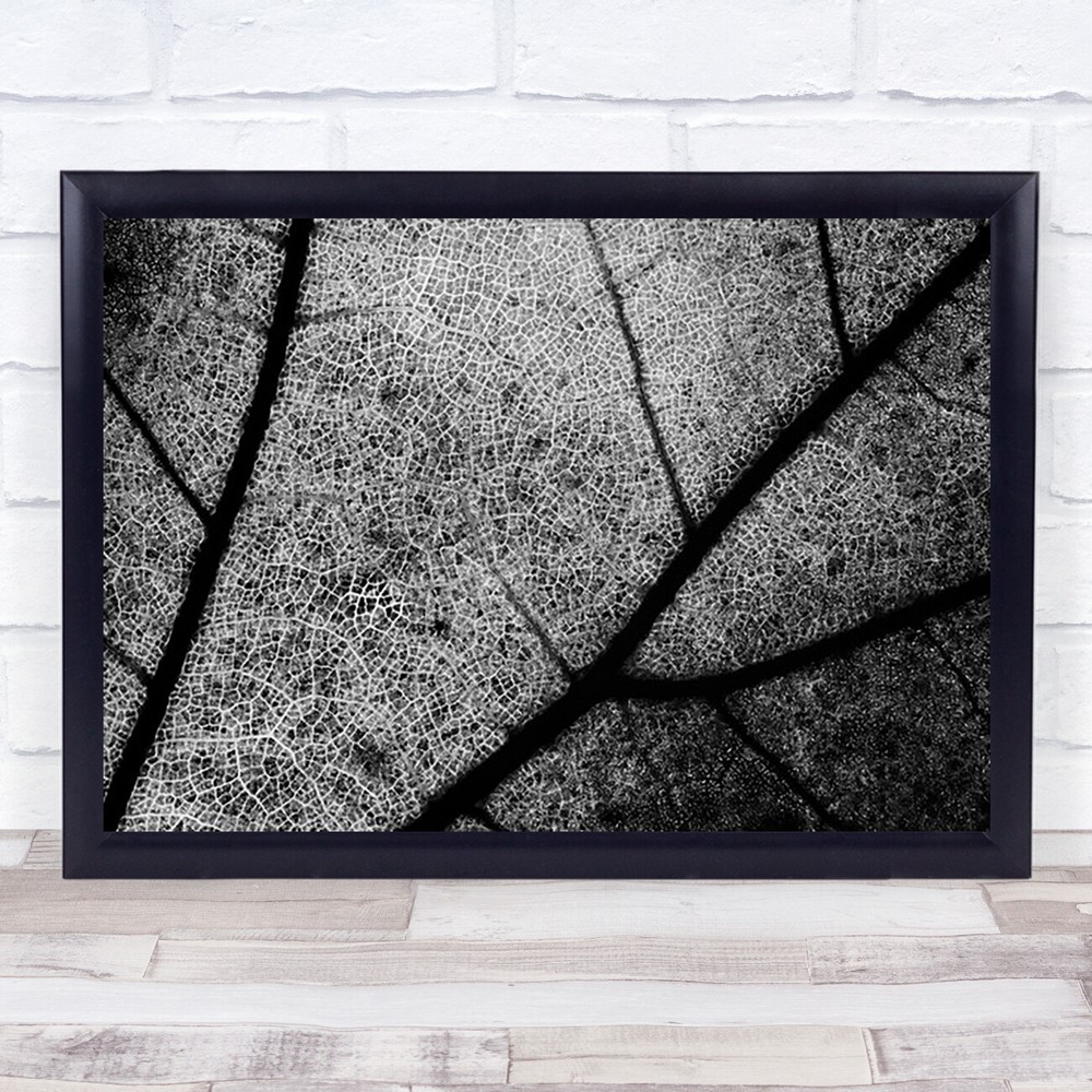 Streets Leaf Veins Artery Arteries Capillary Capillaries Texture Wall Art Print