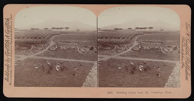 Photo:Mt Vesuvius Italy 1900s Herding Goats Stereoview Landscape