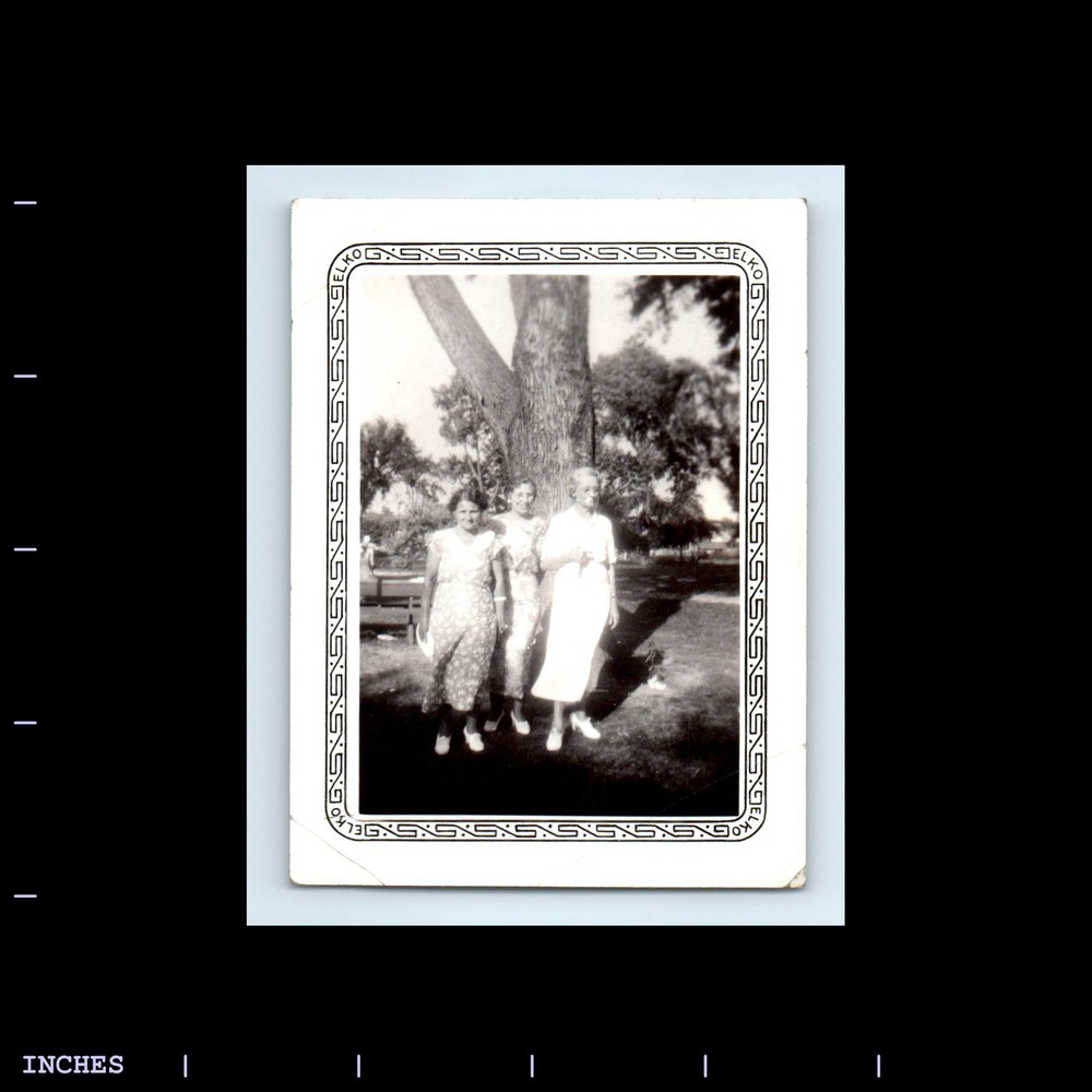 Old Vintage Photo WOMEN OUTSIDE BY TREE THREE GRACES DECORATIVE BORDER