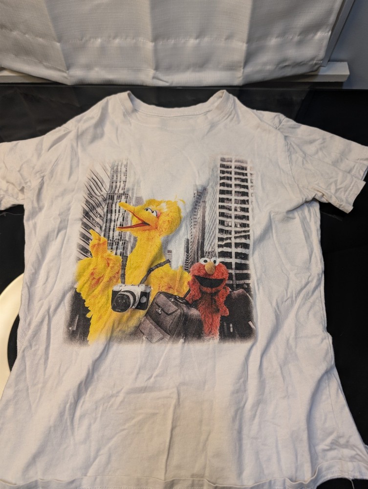 Sesame Street - Big Bird And Elmo As Tourists - White Shirt —M