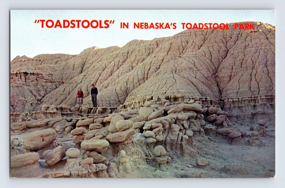 Postcard Nebraska Crawford NE Toadstool Park 1960s Unposted Chrome