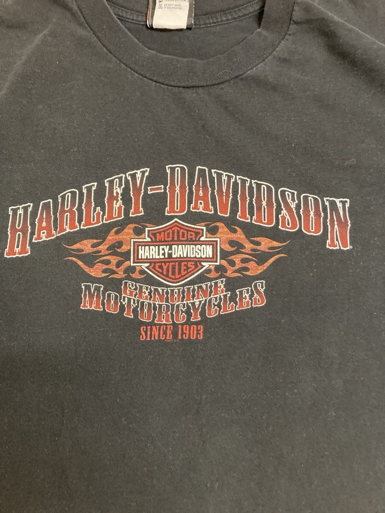 Vintage Harley-Davidson Black Graphic T-Shirt Tecumseh Mi 2003 Size XL