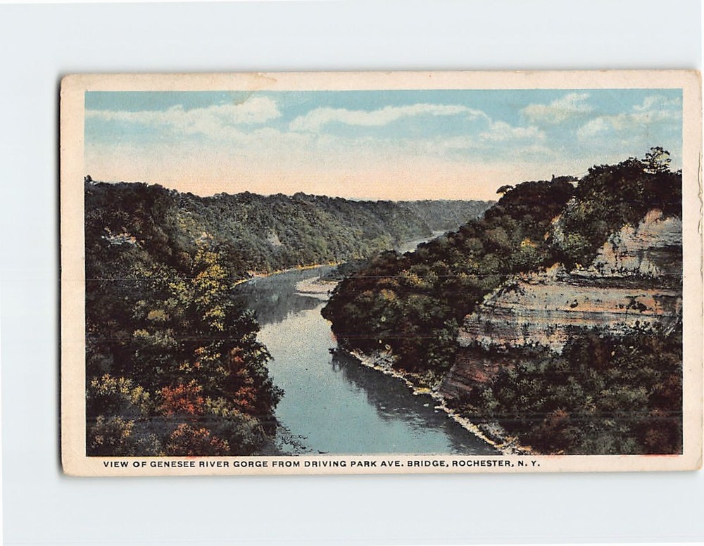 Postcard View Of Genesee River From Driving Park Ave. Bridge Rochester NY USA