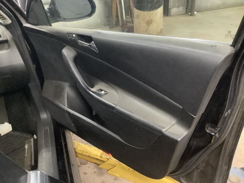 PASSAT    2006 Front Door Trim Panel 330081
