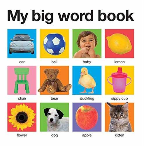 My Big Word Book (casebound) - Board book, by Priddy Roger - Very Good