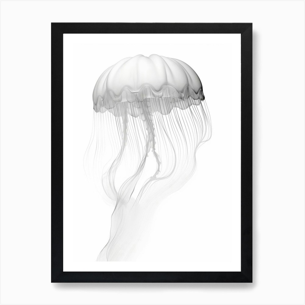 Box Jellyfish Watercolor Art Framed Canvas Print Wall Decor