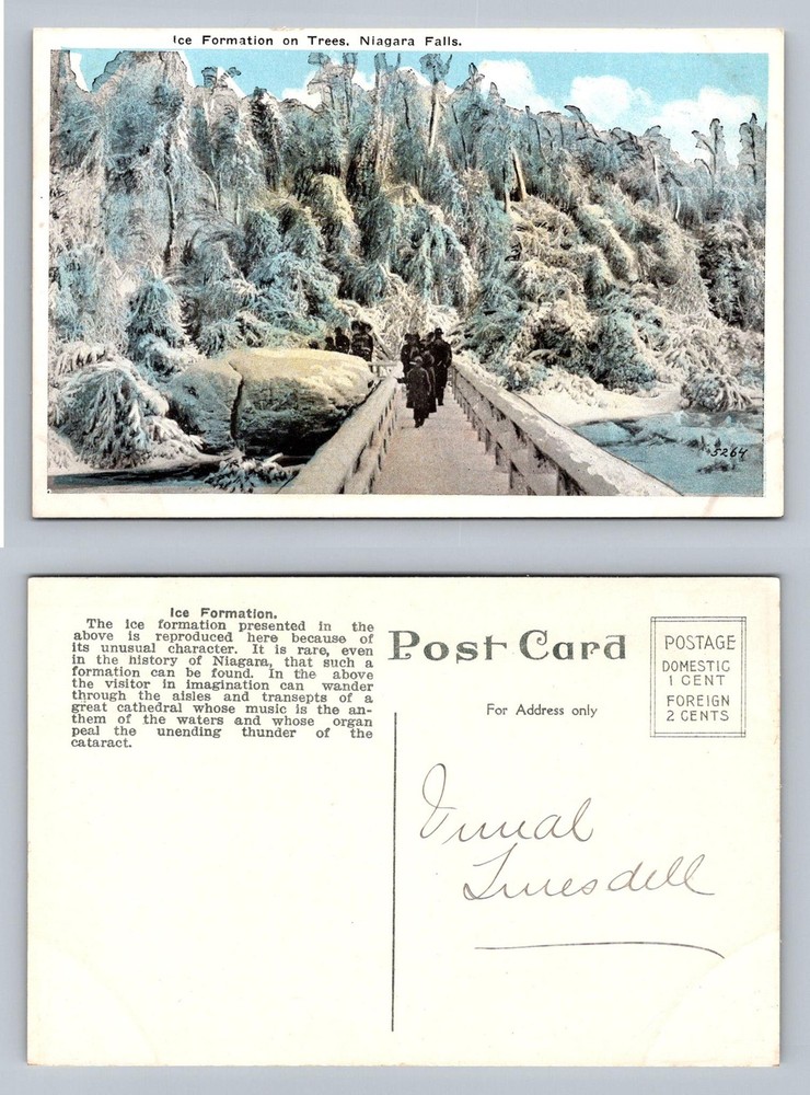 Niagara Falls, NY-New York, Ice on Trees Winter Scene Vintage Postcard