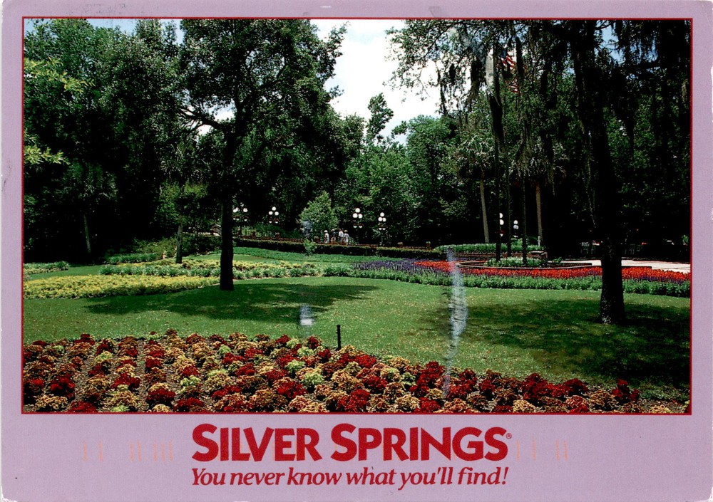 Gardens, Silver Springs, Florida, oak trees, cypress trees, Jerry Postcard