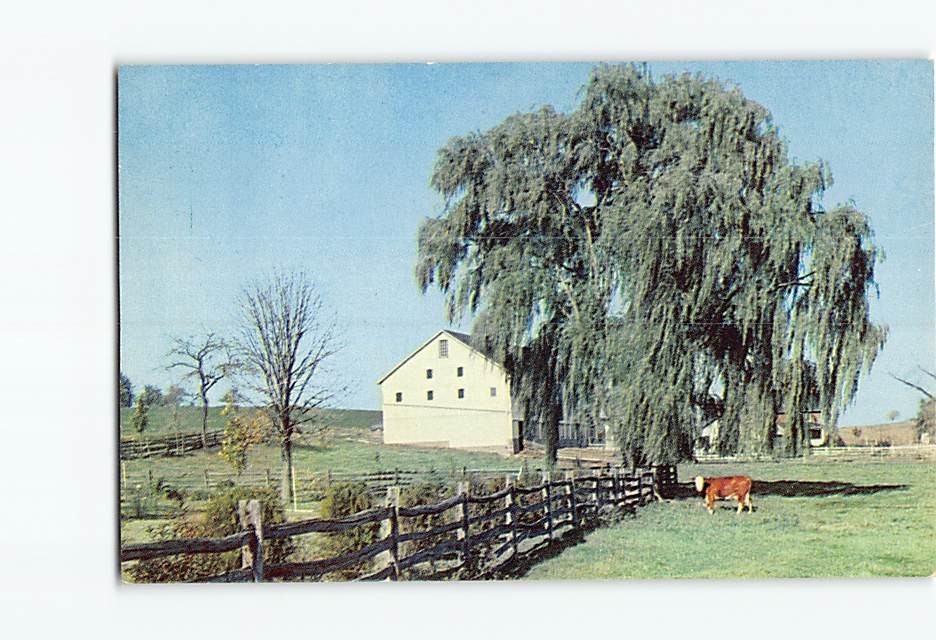 Postcard Typical Farm Scene Picturesque Franklin County Pennsylvania USA America
