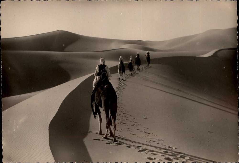 RPPC Camel Riders Sahara Desert Algiers Algeria vintage postcard x332